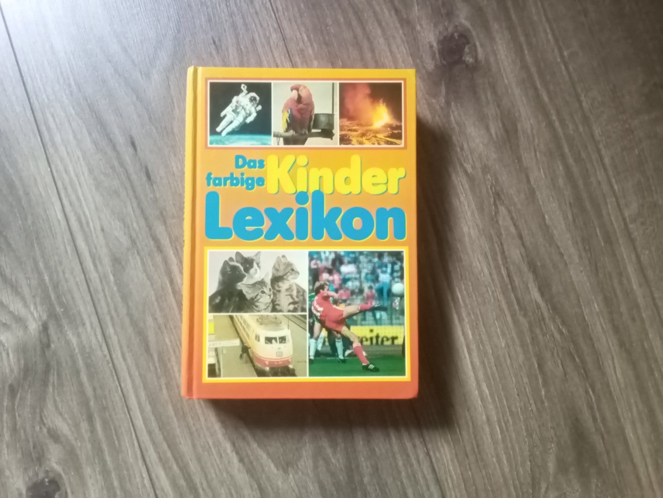 Das farbige Kinderlexikon Buch gebunden 1987
